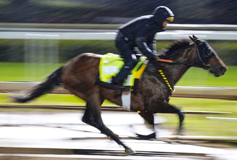 Kentucky Derby alternate Robusta works out at Churchill Downs in Louisville, Kentucky.