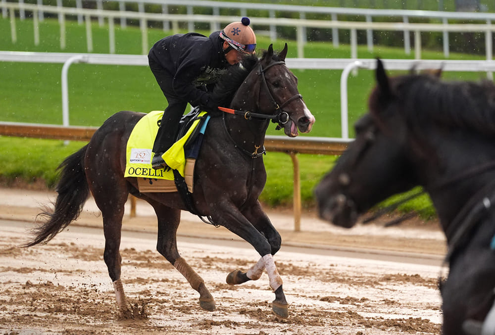 Kentucky Derby horse racing photo gallery
