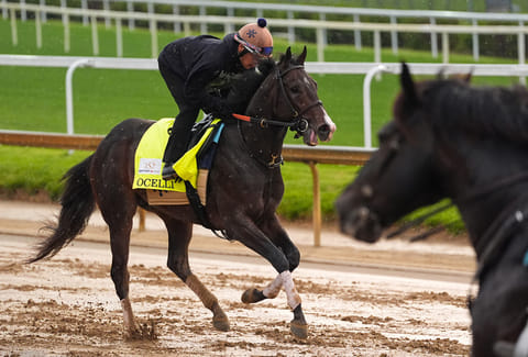 Kentucky Derby alternate Ocelli works out at Churchill Downs in Louisville, Kentucky.
