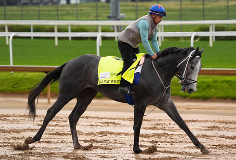Kentucky Derby alternate Great White works out at Churchill Downs in Louisville, Kentucky.