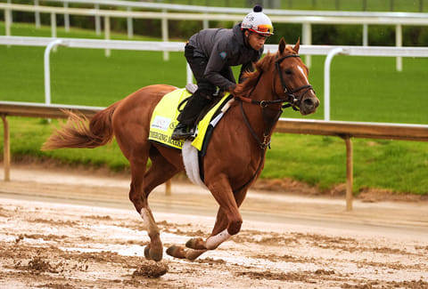 Kentucky Derby entrant Emerging Market works out at Churchill Downs 
in Louisville, Kentucky.