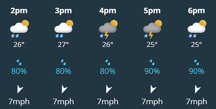 Miami F1 Grand Prix 2026: Hourly Weather Forecast