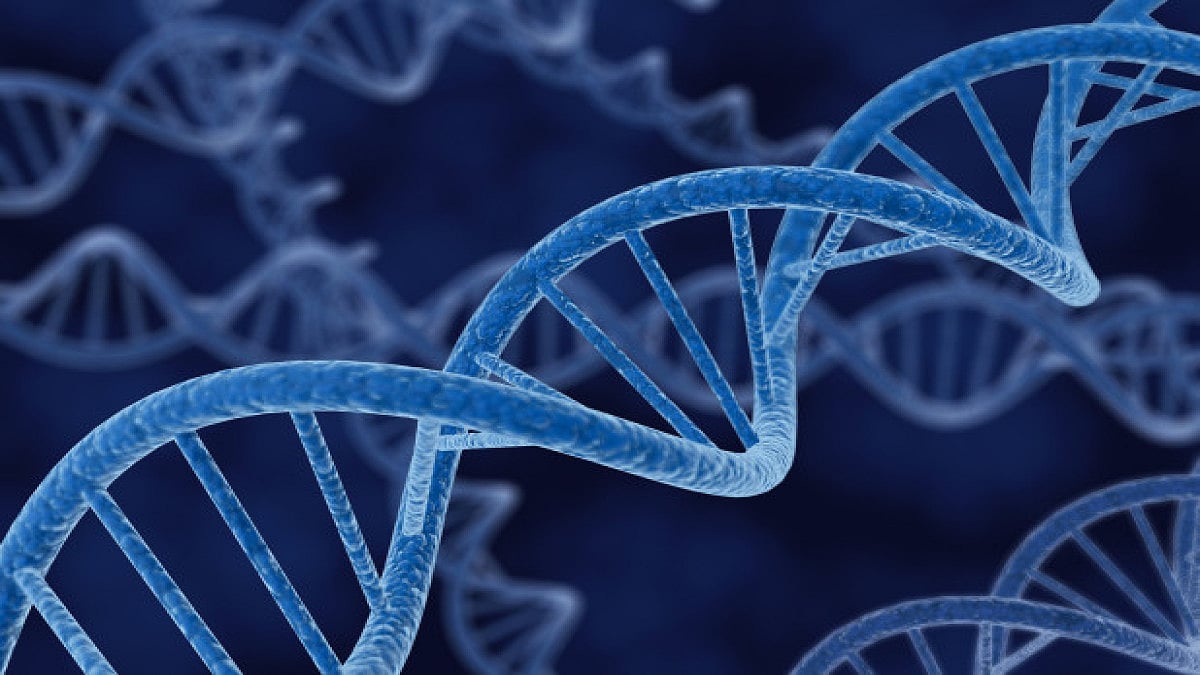 Genetic Disorders Among Children: Spot It Early