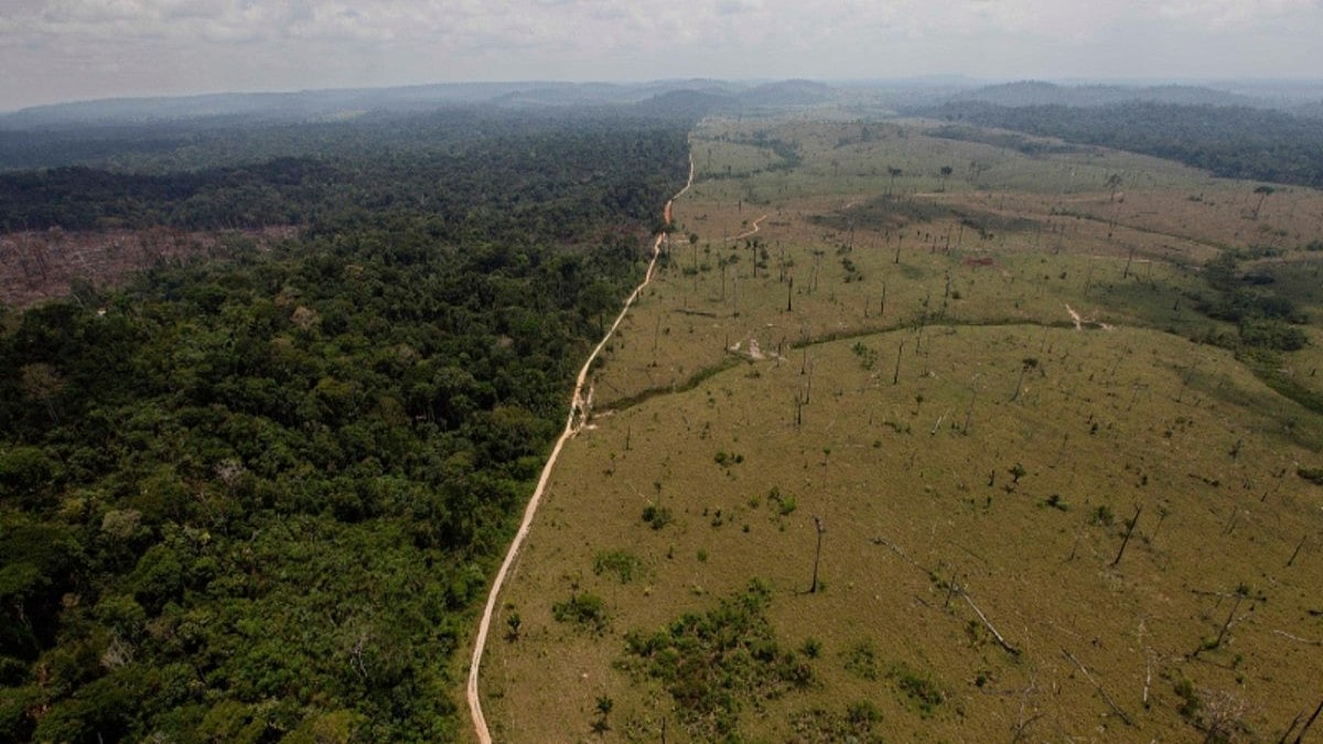 Brazil's Amazon Deforestation Surges To Worst In 15 Years
