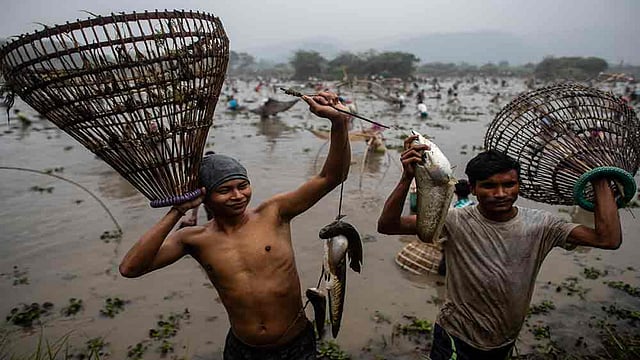 Celebrations Of Bhogali Bihu With Community Fishing In Assam's Panbari Village