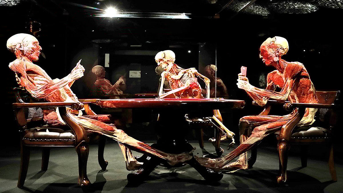 Body Worlds Museum | Outlook India