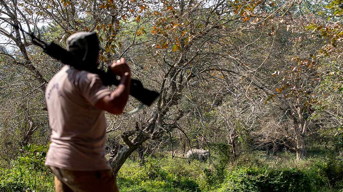 Arunachal Pradesh: Rescued Bear Cubs Are Being Readied To Be Released In The Wild