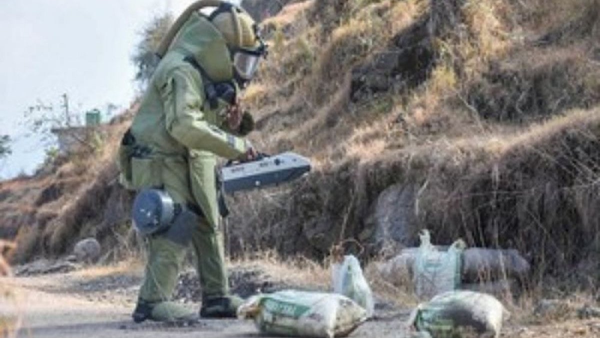 Representative image. 