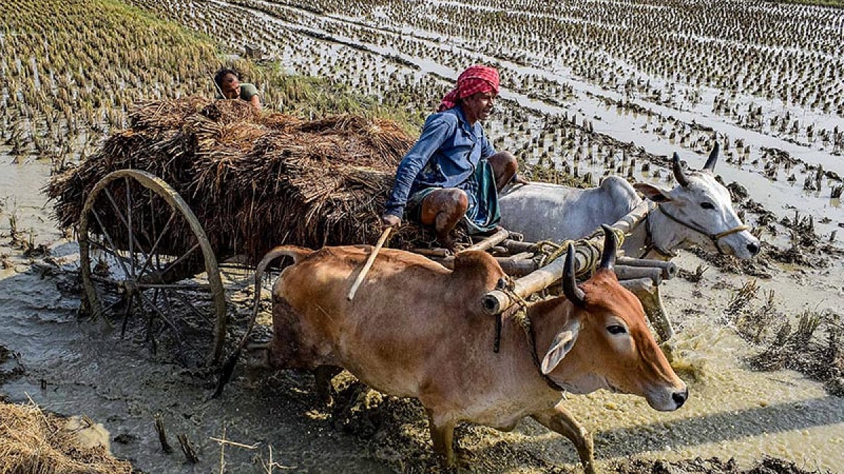 Amit Shah launched the logo of the Gujarat government's initiative for natural farming.