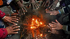 Bihar Weather Alert: Cold Wave and Dense Fog Grip State