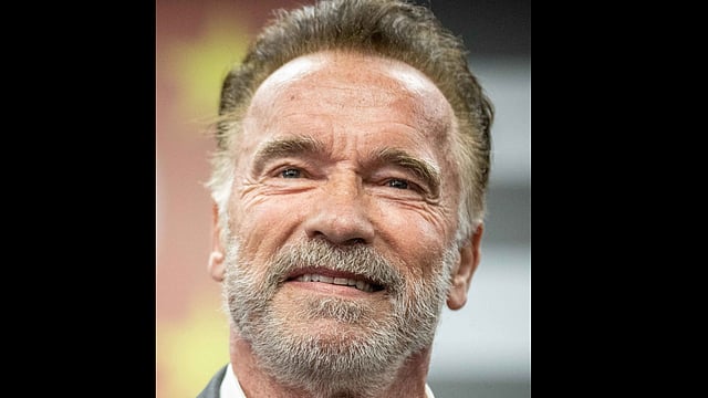Arnold Schwarzenegger Escapes Unharmed In a Car Crash