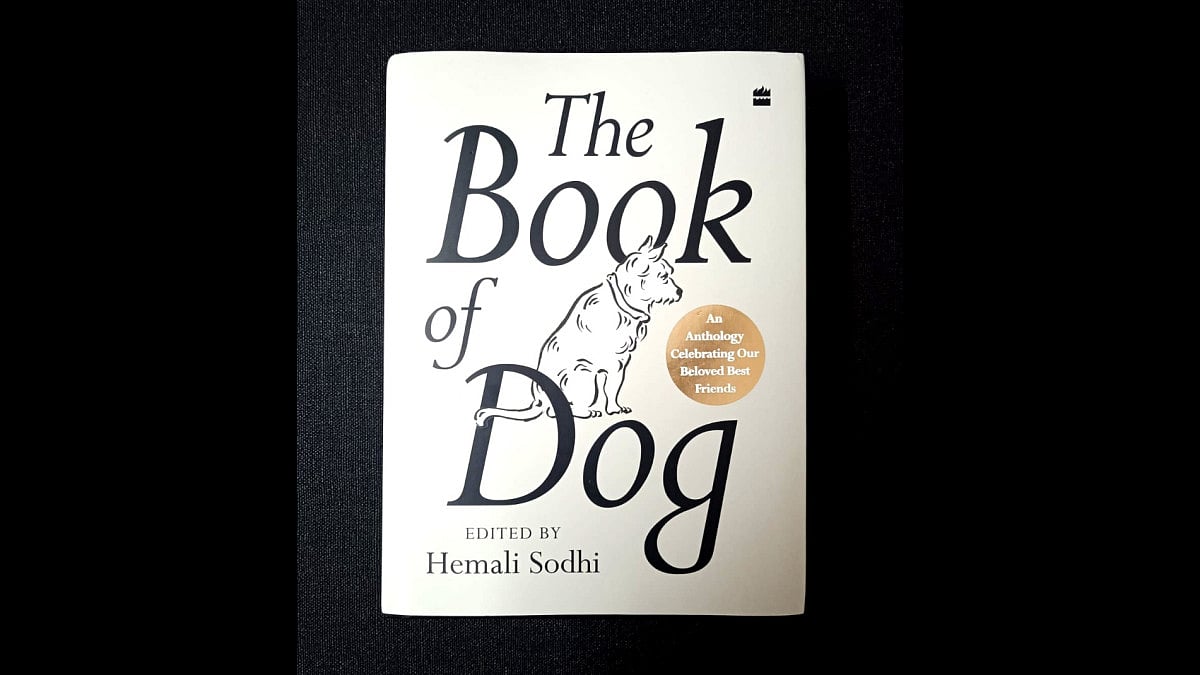 Cover image of The Book of Dog.