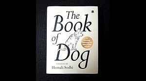 Cover image of The Book of Dog.