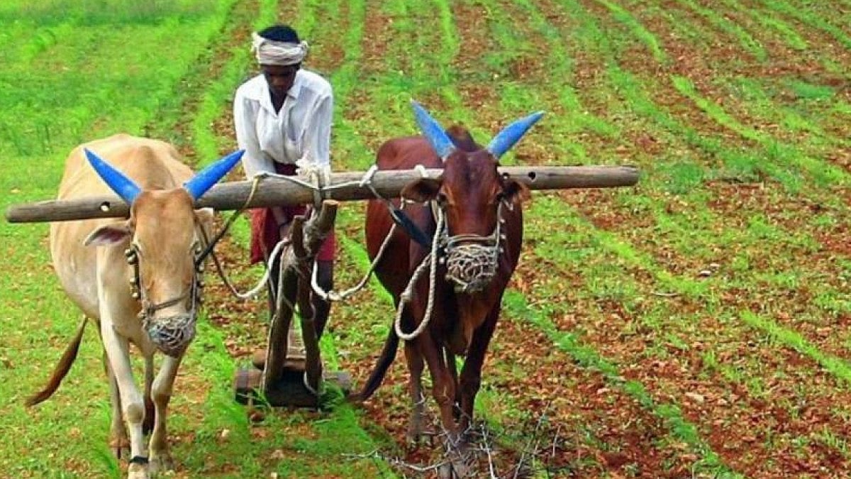 Opposition demands compensation for farmers who suffered loss due to incessant rains.