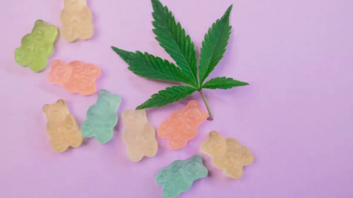 CBD Gummies