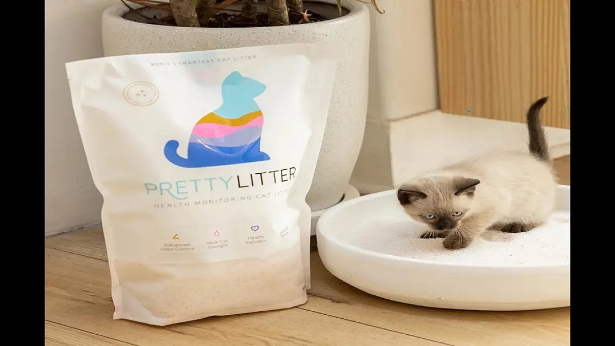 Pretty Litter
