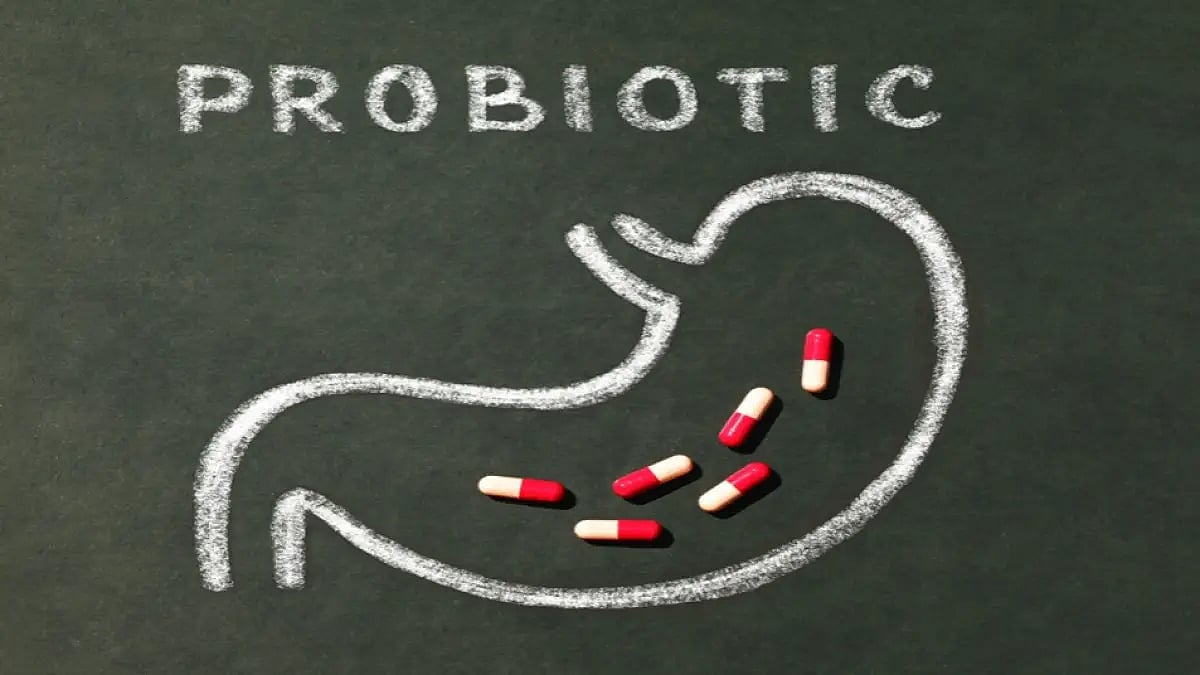 Probiotic for Gut Health