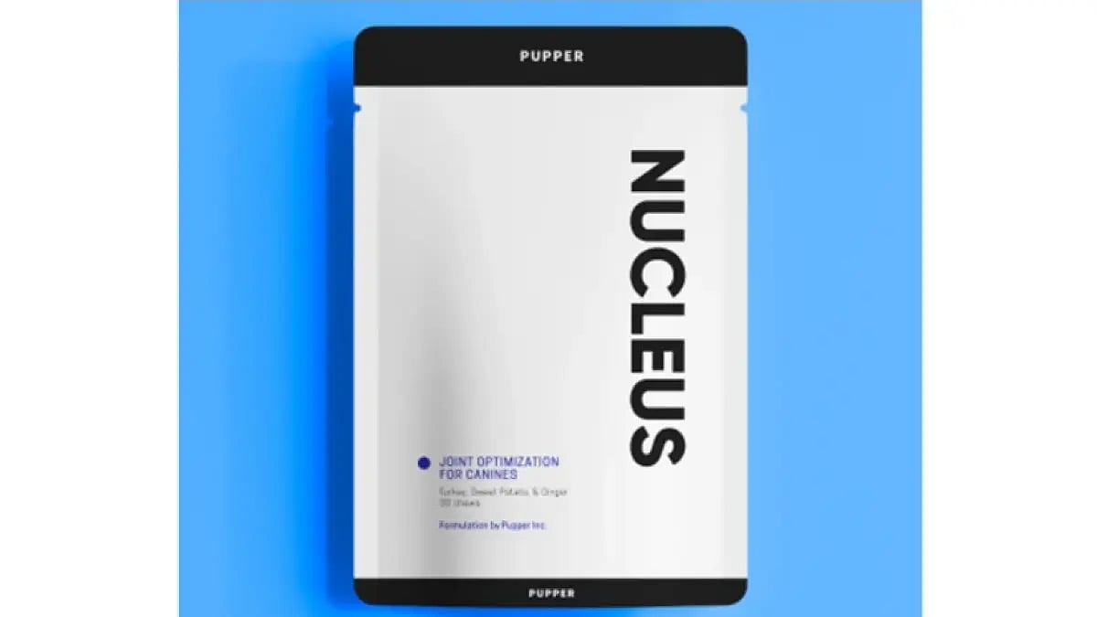 Arthritis Supplements for Dogs 