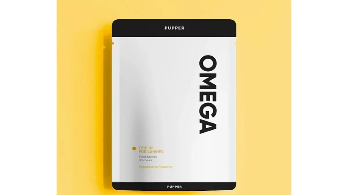 Best Flea Medicine for Dogs