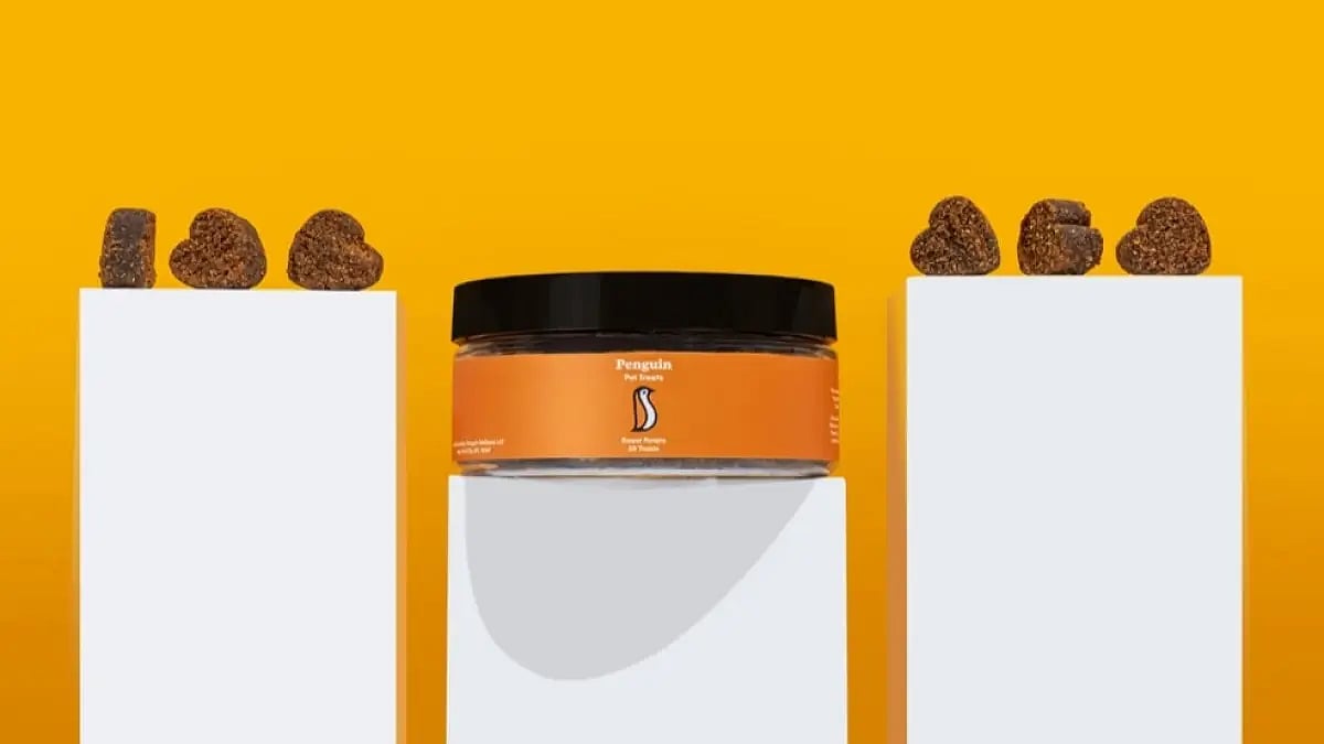 Best CBD Oil Treats for Dogs with Anxiety