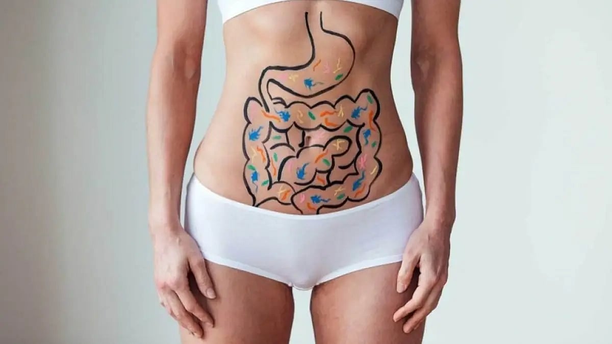 Βest Gut Health Supplements