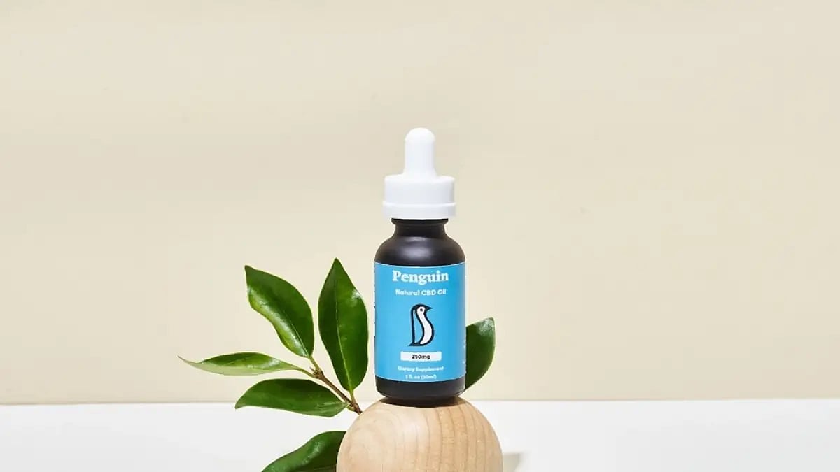 Best CBD Oils