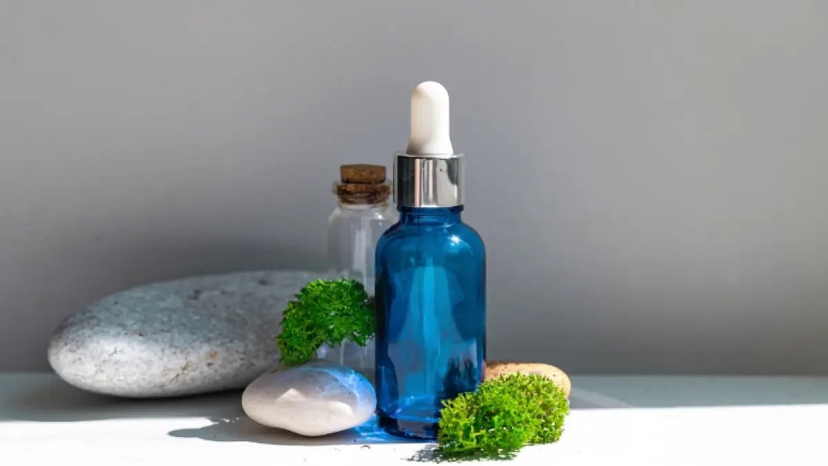 Best Sea Moss Gummies