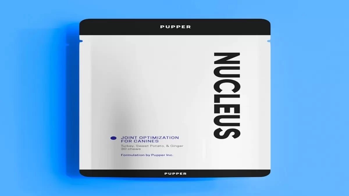 Joint Health Supplements For Dogs