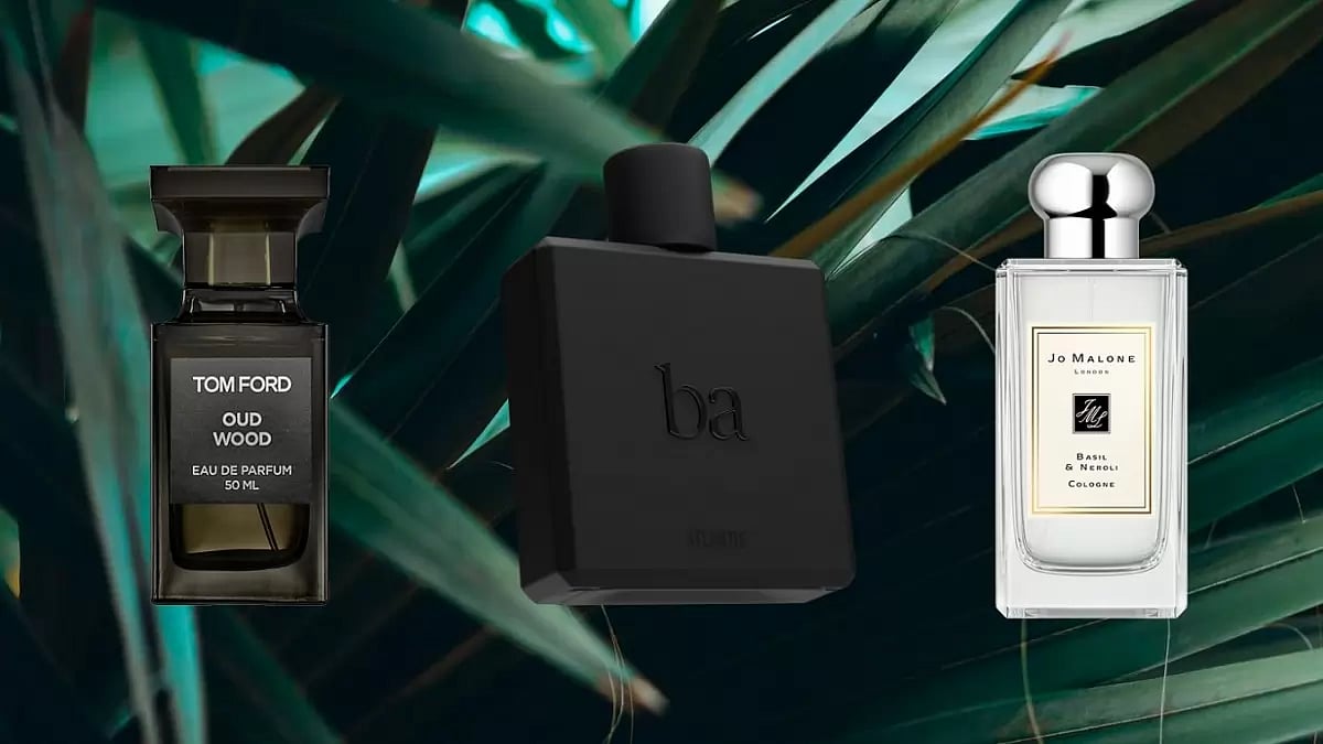 Best Perfumes For Men In 2023