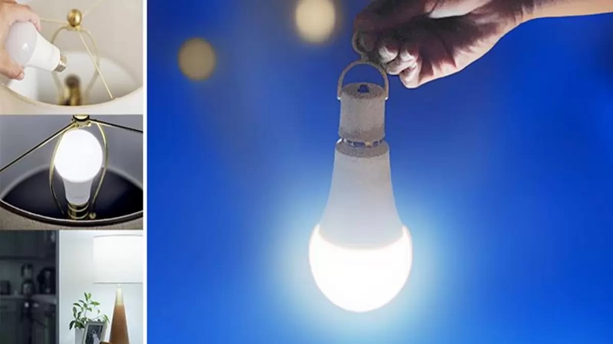 Surge Emergency Bulb