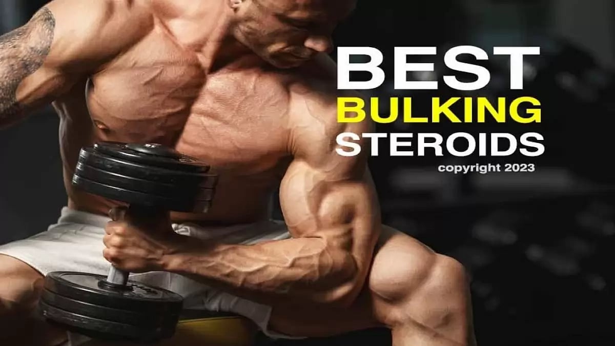 Best Steroids For Bulking And Muscle Growth 2023, Top Steroid Stack For
