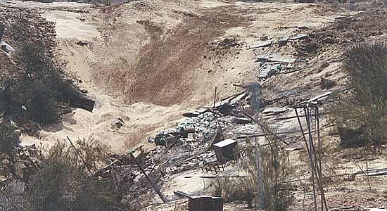 More Suns In The Thar?