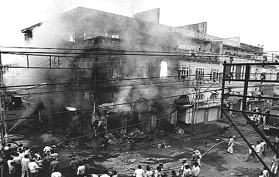 Many Small Trees Grow