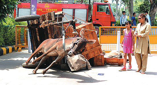 Dude Ascending A Stair