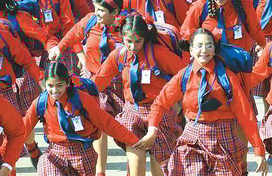 The Fruits Of Tenacity