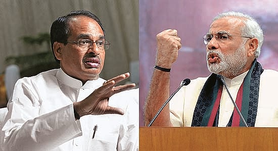 Sher Khan’s Courtiers