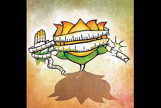 Cellulite Certitudes