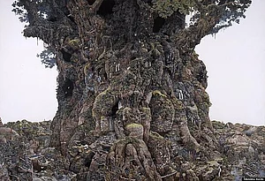 The Beginning Of Imagination