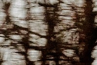 Hindi On The Hudson Hindi On The Hudson