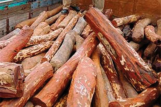 Gunning Down The Footsoldiers