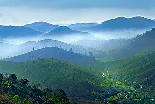 Nilgiris Diary
