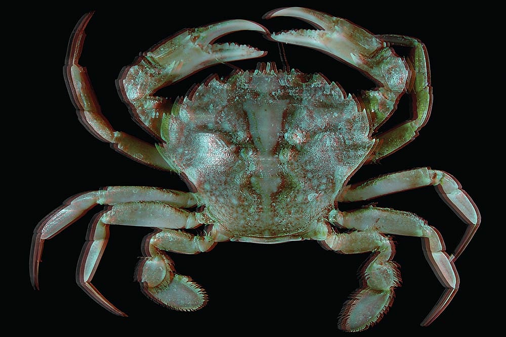 Playing Hide & Seek With Life