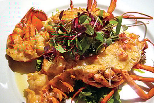 VII Things We Learnt Last Week