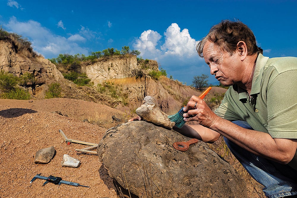 The Whys & Wherefores