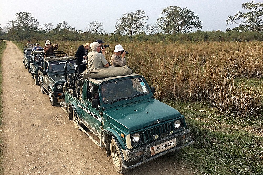 Tiger Tiger Burning Bright, Tiger Never Out Of Sight