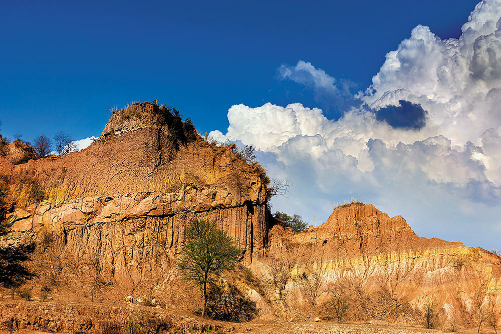 Ici Repose...Peut-être…Le Premier Humain