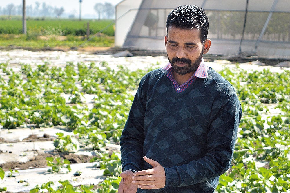 Punjab Agricultural University, Ludhiana