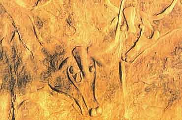 Untouchability, The Dead Cow And The Brahmin