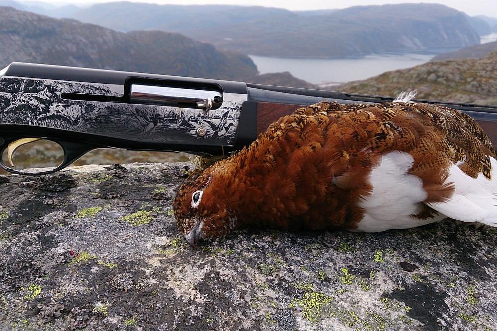 Birds Of A Feather Grouse Hunt Together