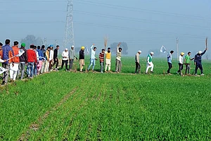 The Nuts And Bolts Of Fighting A Low Cost Election